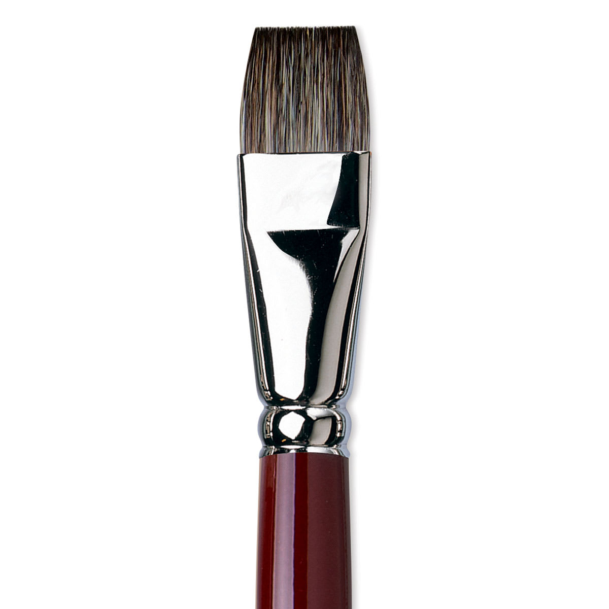 Da Vinci Black Sable Brush - Bright, Long Handle, Size 20 close up