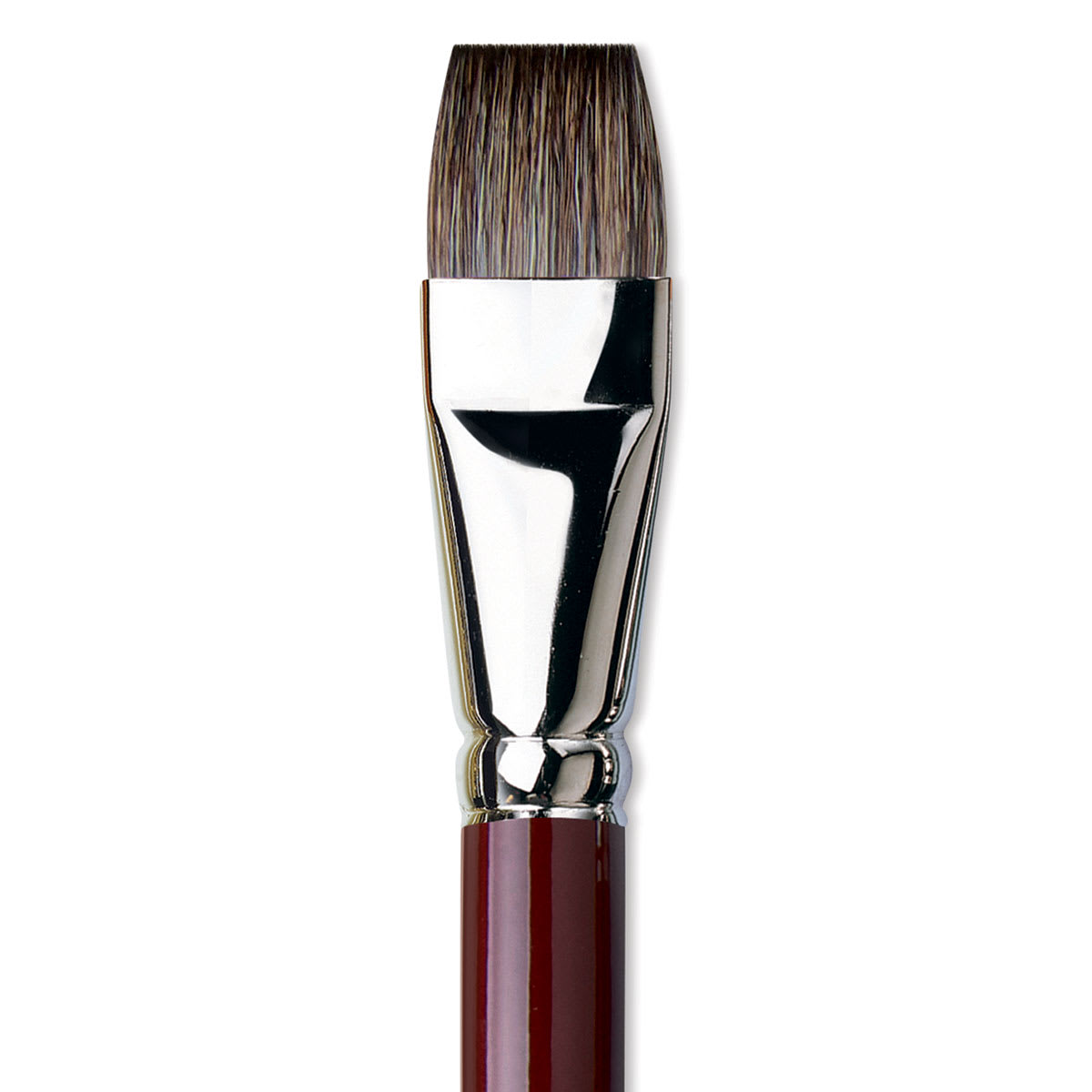 Da Vinci Black Sable Brush - Bright, Long Handle, Size 22 close up