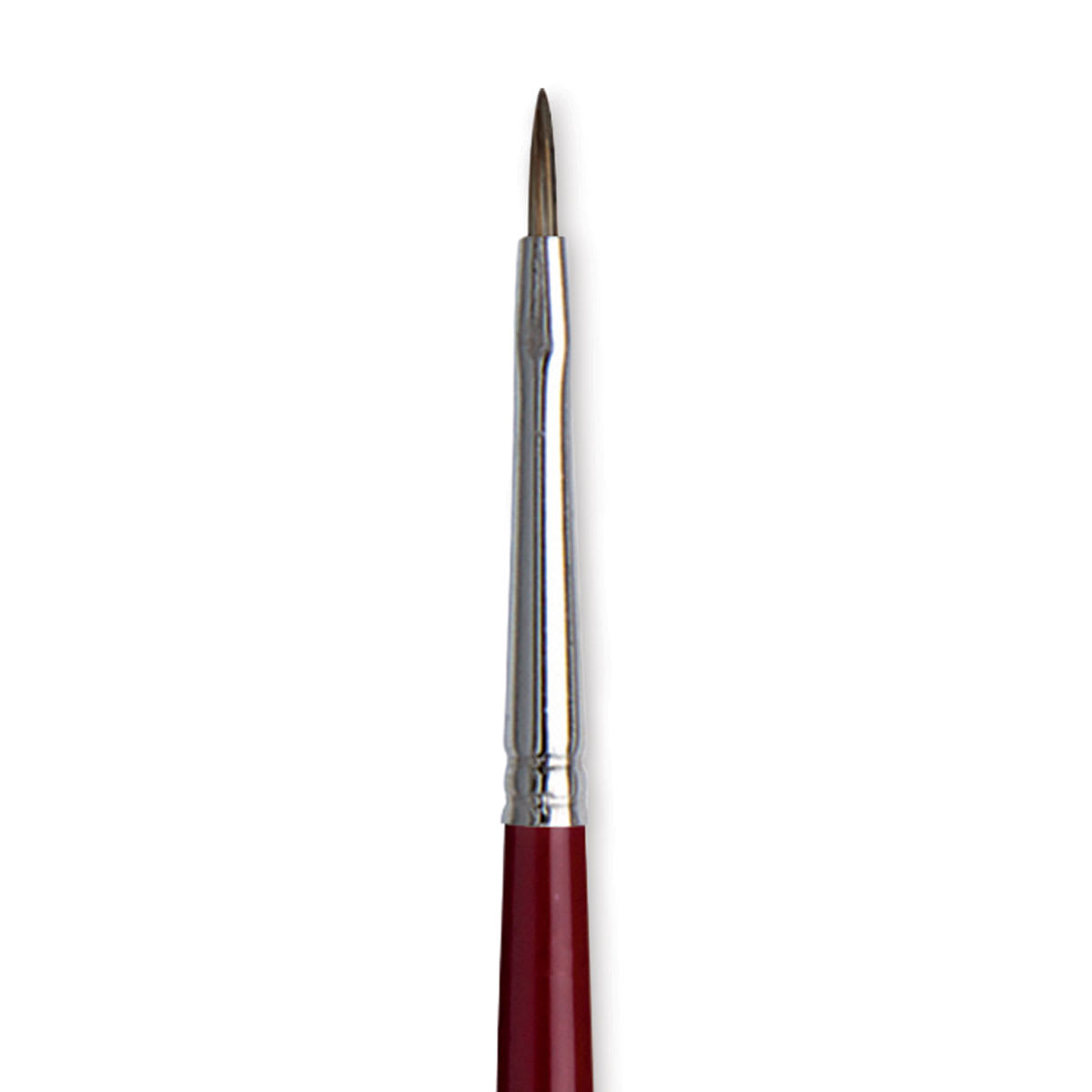 Da Vinci Black Sable Brush - Regular Filbert, Long Handle, Size 0 close up