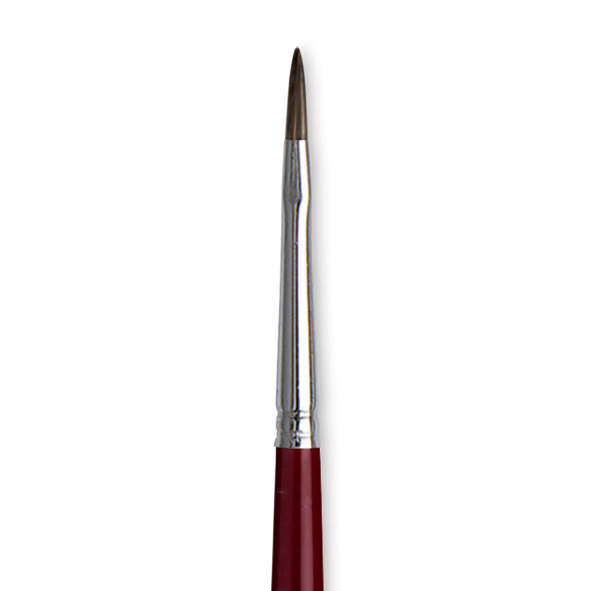 Da Vinci Black Sable Brush - Regular Filbert, Long Handle, Size 1 close up