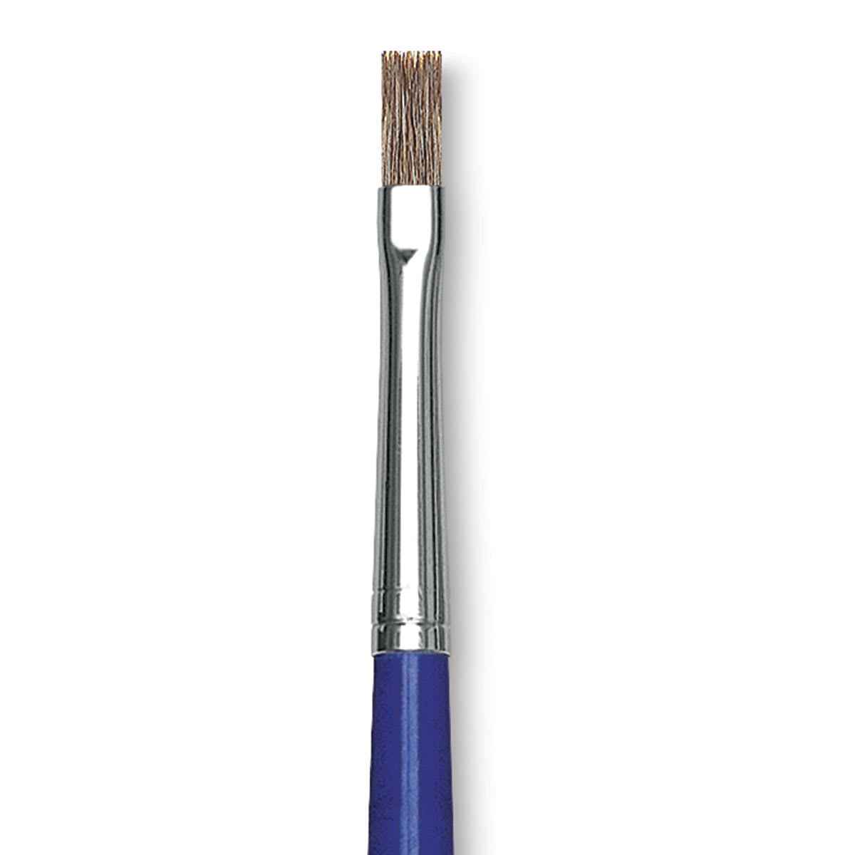 Blick Scholastic Ox Hair Brush - Bright, Long Handle, Size 6 close up