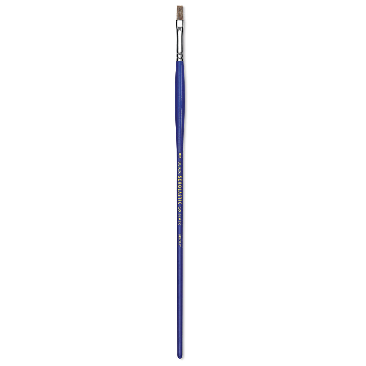 Blick Scholastic Ox Hair Brush - Bright, Long Handle, Size 8