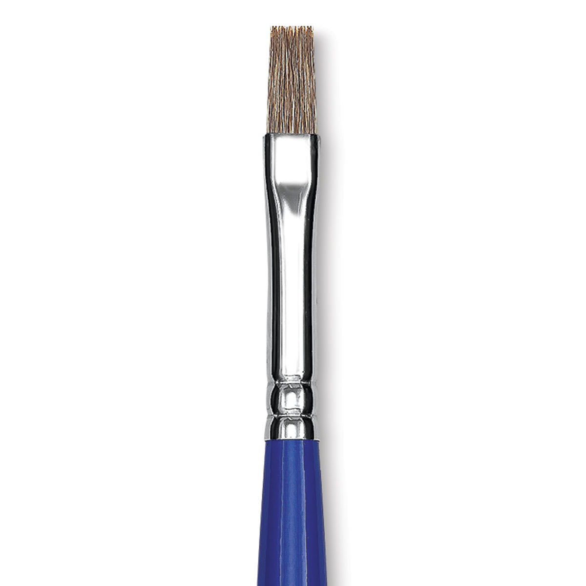 Blick Scholastic Ox Hair Brush - Bright, Long Handle, Size 8 close up