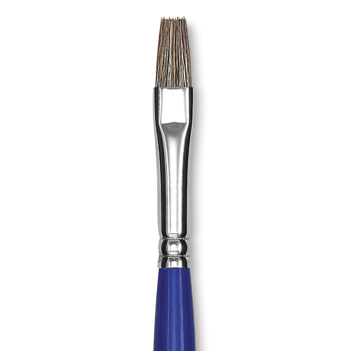 Blick Scholastic Ox Hair Brush - Bright, Long Handle, Size 10 close up