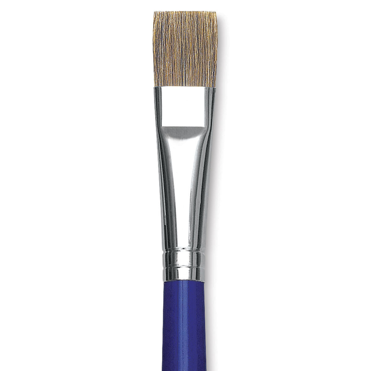 Blick Scholastic Ox Hair Brush - Bright, Long Handle, Size 16 close up