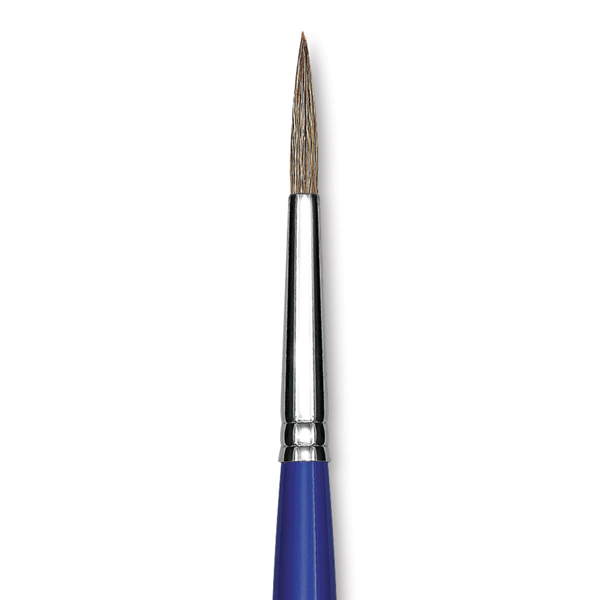 Blick Scholastic Ox Hair Brush - Round, Long Handle, Size 8 close up
