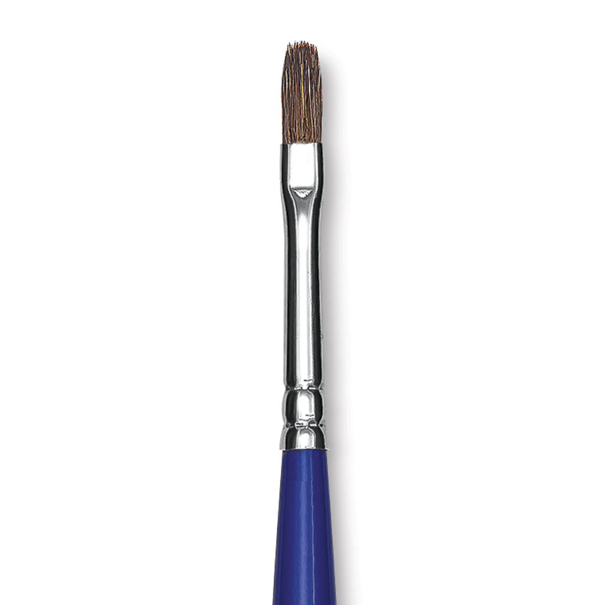 Blick Scholastic Red Sable Brush - Filbert, Long Handle, Size 6 close up
