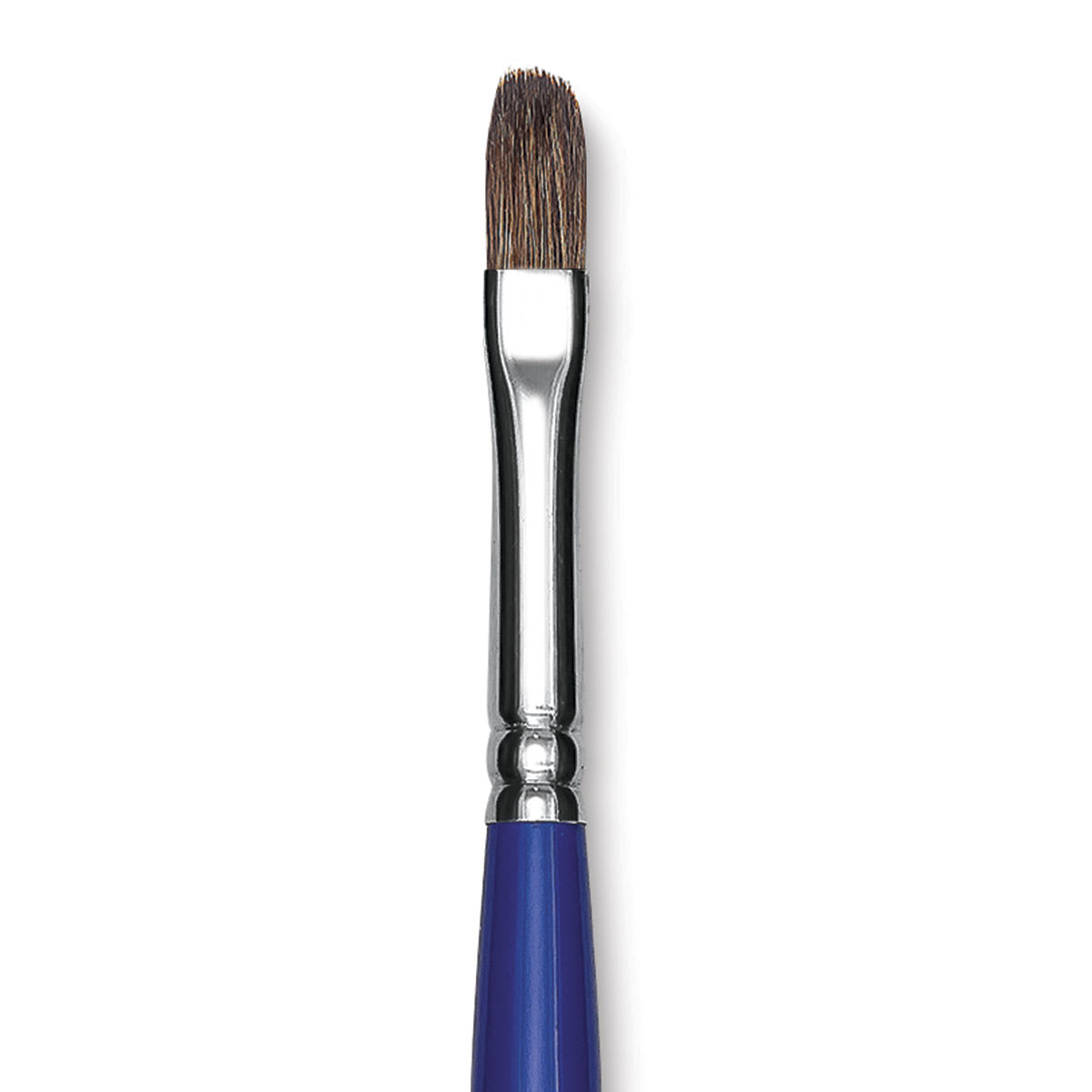 Blick Scholastic Red Sable Brush - Filbert, Long Handle, Size 8 close up