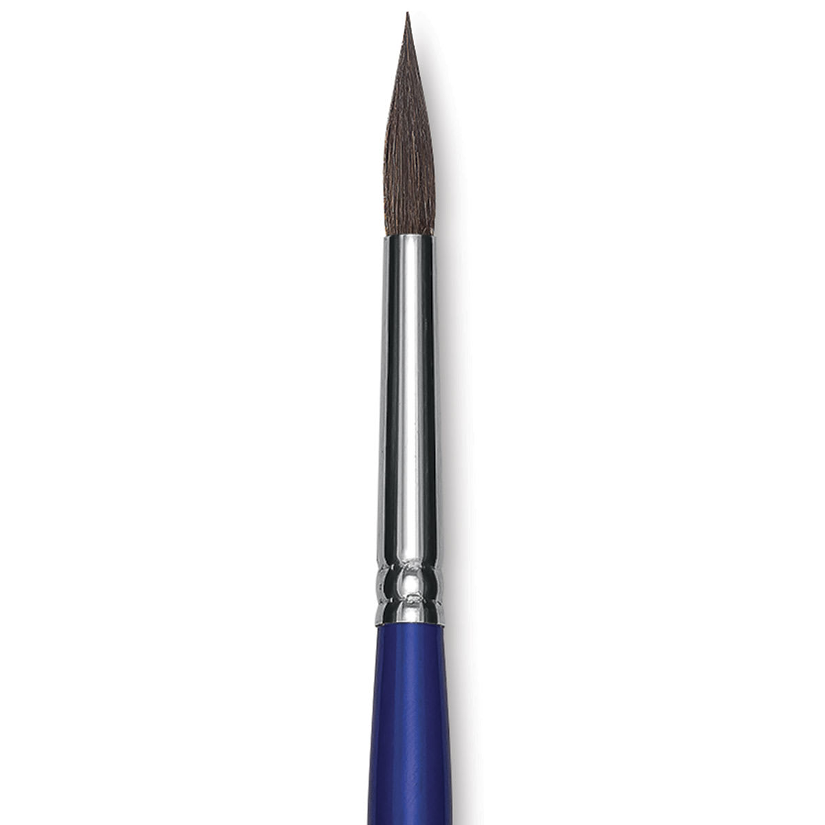 Blick Scholastic Red Sable Brush - Round, Long Handle, Size 8 close up