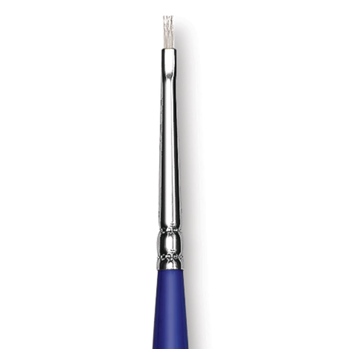 Blick Scholastic White Bristle Brush - Bright, Size 0 close up