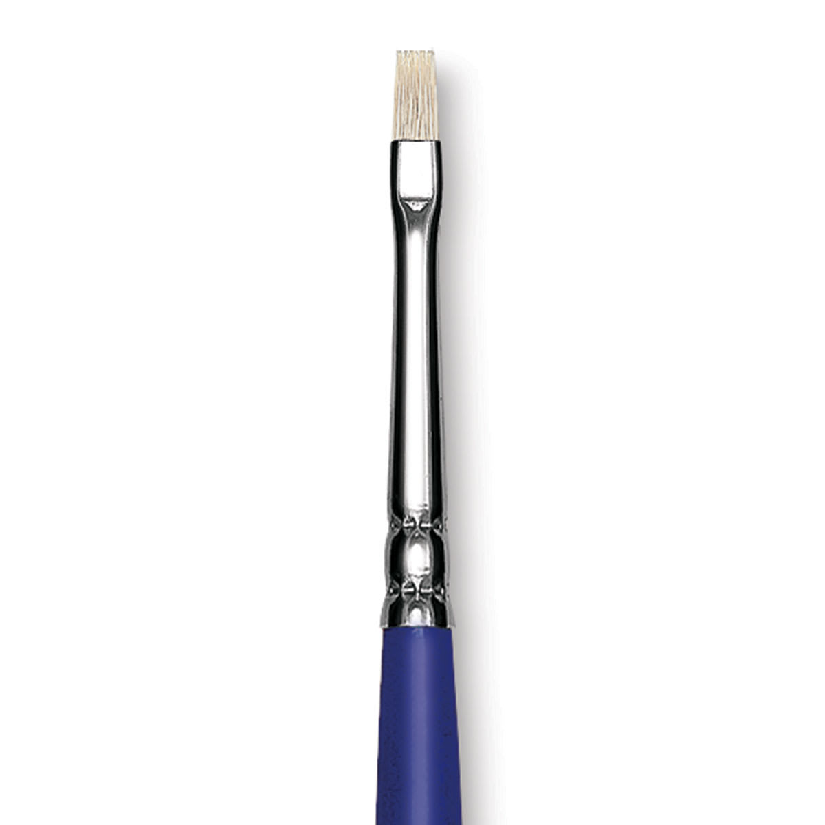 Blick Scholastic White Bristle Brush - Bright, Size 2 close up