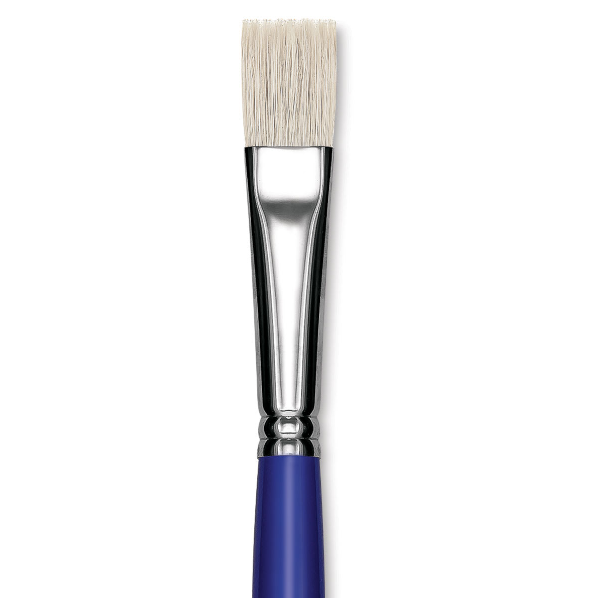 Blick Scholastic White Bristle Brush - Bright, Size 16 close up