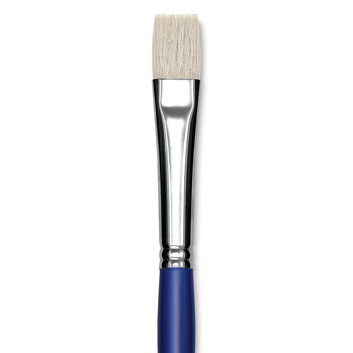 Blick Scholastic White Bristle Brush - Bright, Size 18 close up