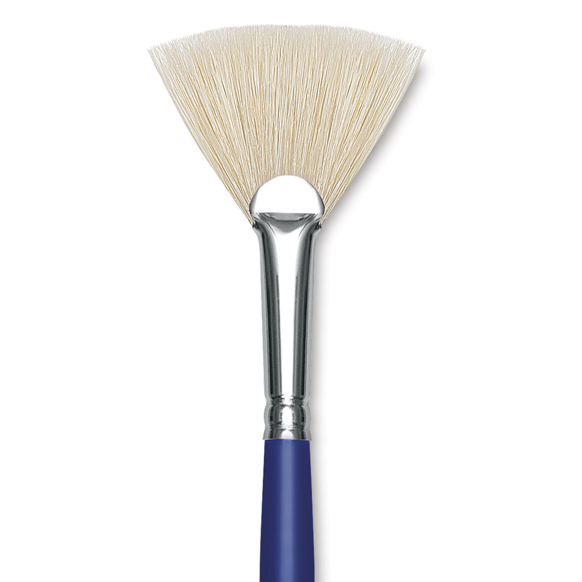 Blick Scholastic White Bristle Brush - Fan, Size 6 close up