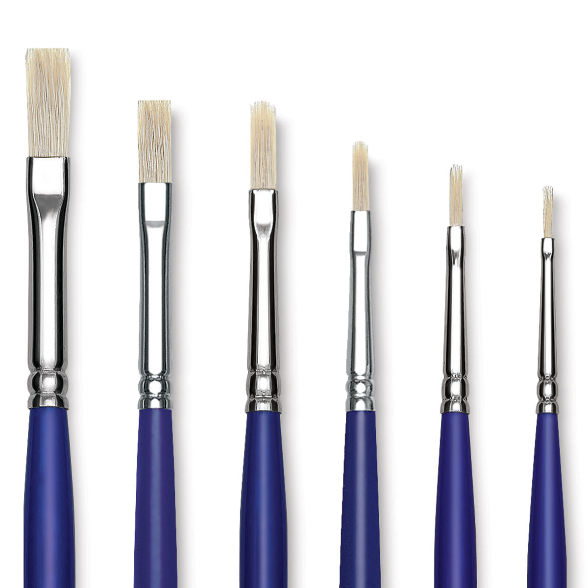 Blick Scholastic White Bristle Brush Set - Filbert, Set of 6 close up