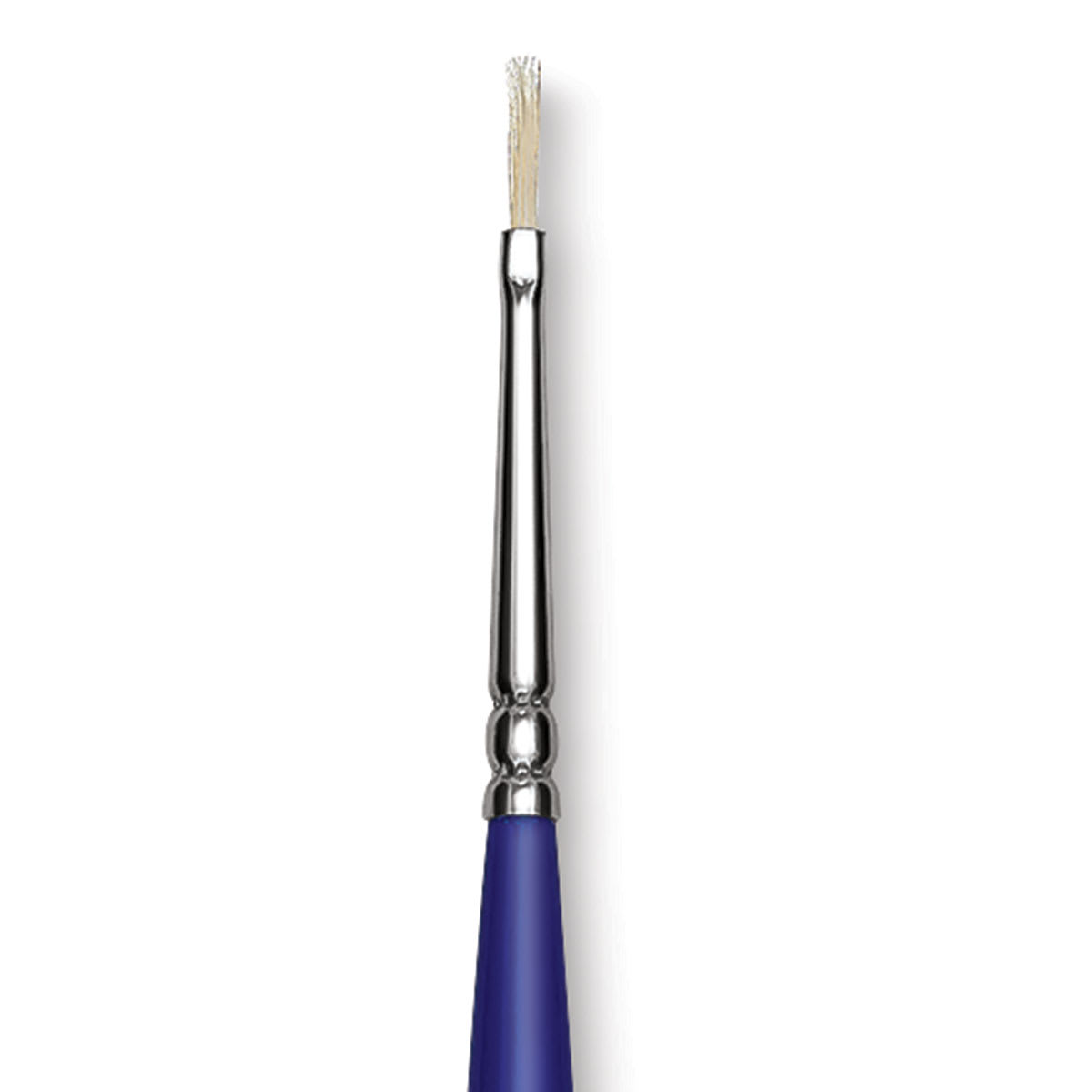 Blick Scholastic White Bristle Brush - Filbert, Size 0 close up