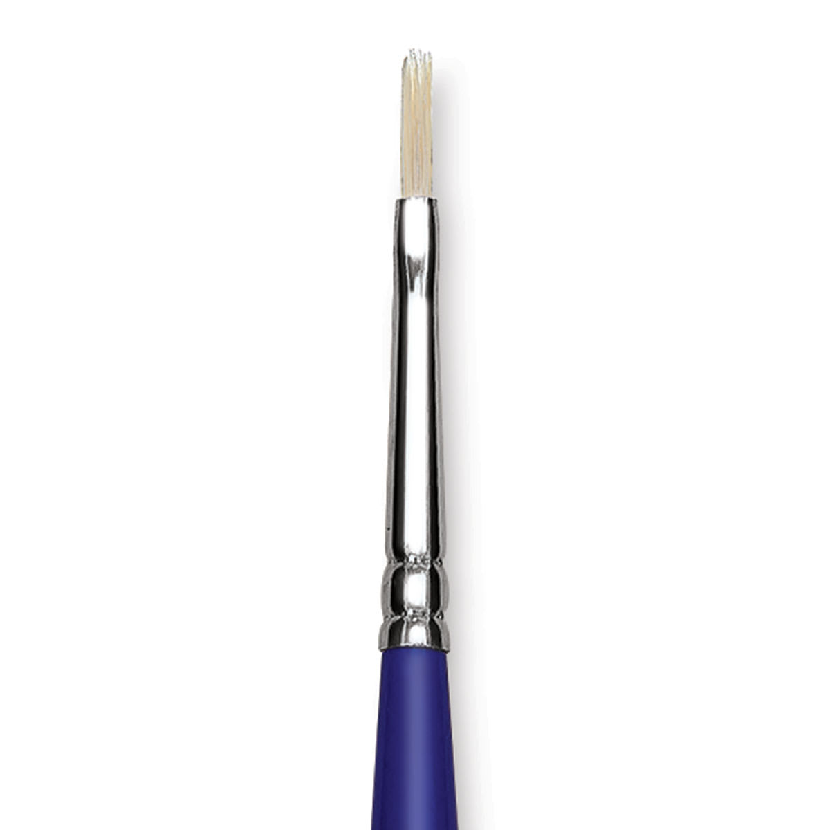 Blick Scholastic White Bristle Brush - Filbert, Size 1 close up