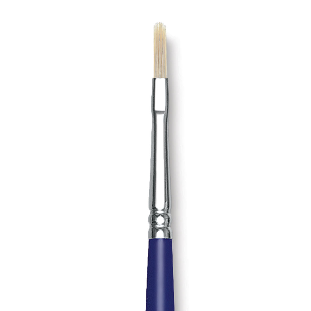 Blick Scholastic White Bristle Brush - Filbert, Size 2 close up