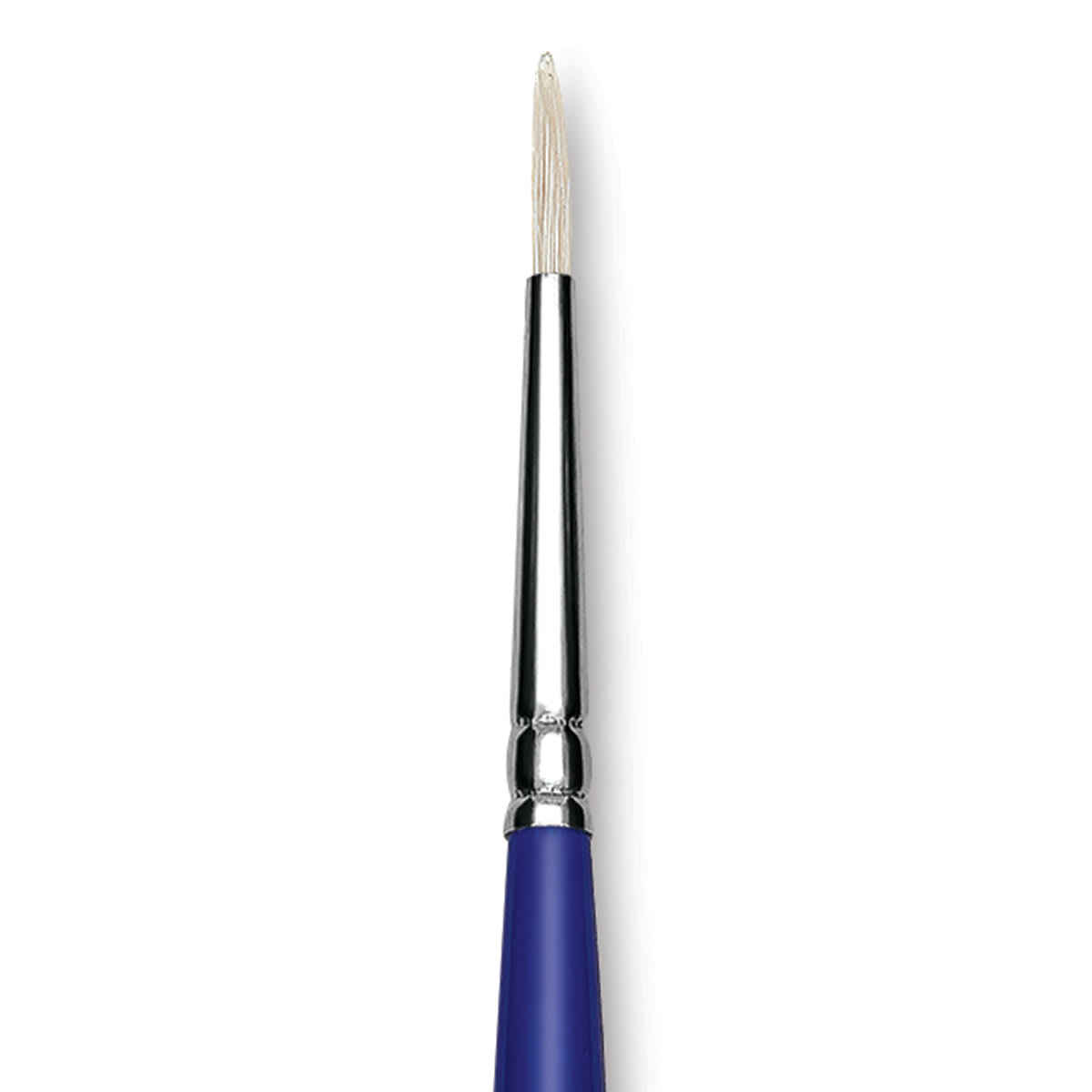 Blick Scholastic White Bristle Brush - Round, Size 2 close up