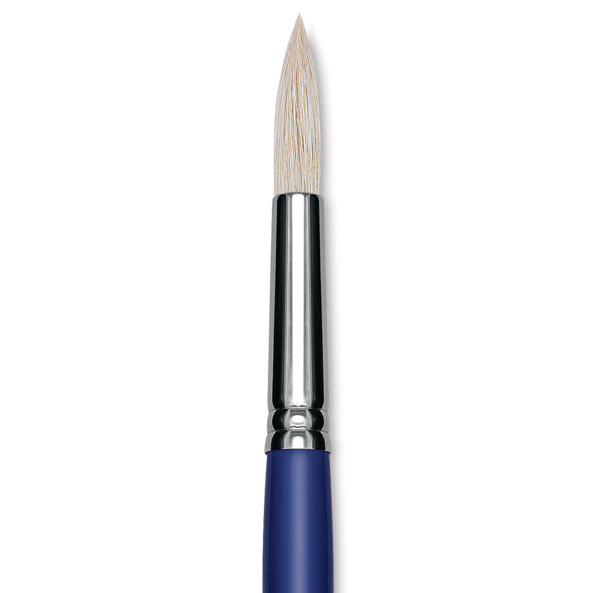 Blick Scholastic White Bristle Brush - Round, Size 16 close up