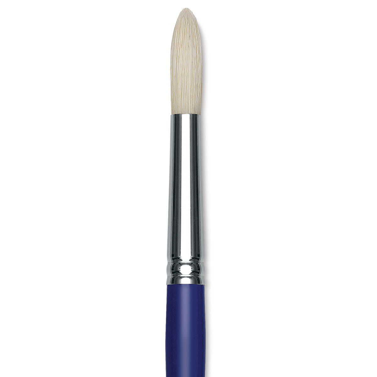 Blick Scholastic White Bristle Brush - Round, Size 18 close up