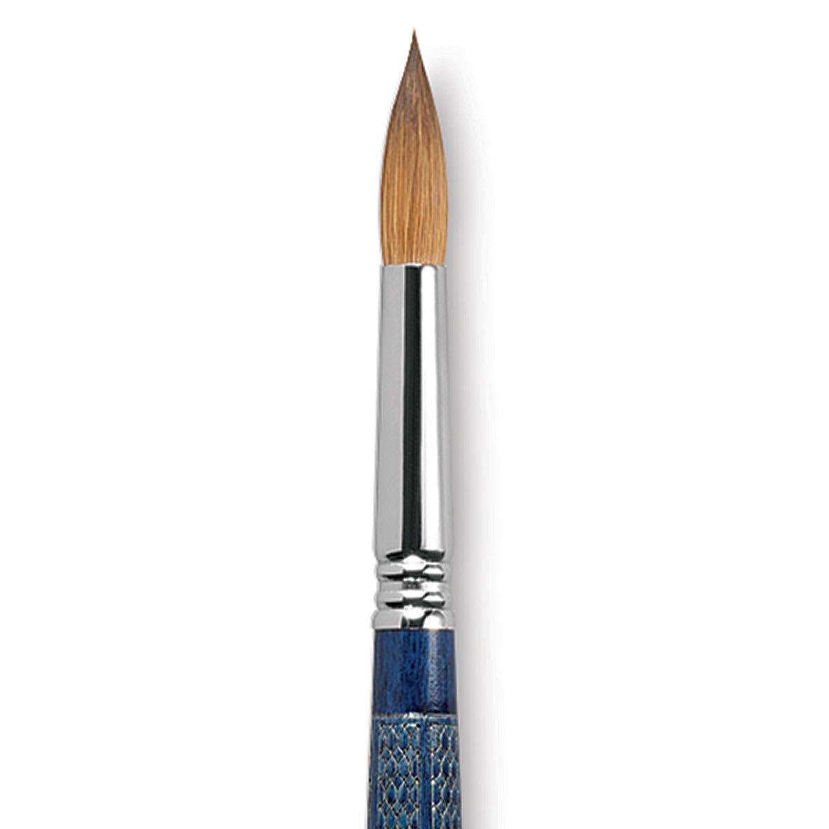 Escoda Optimo Kolinsky Sable Brush - Pointed Round, Long Handle, Size 14 close up
