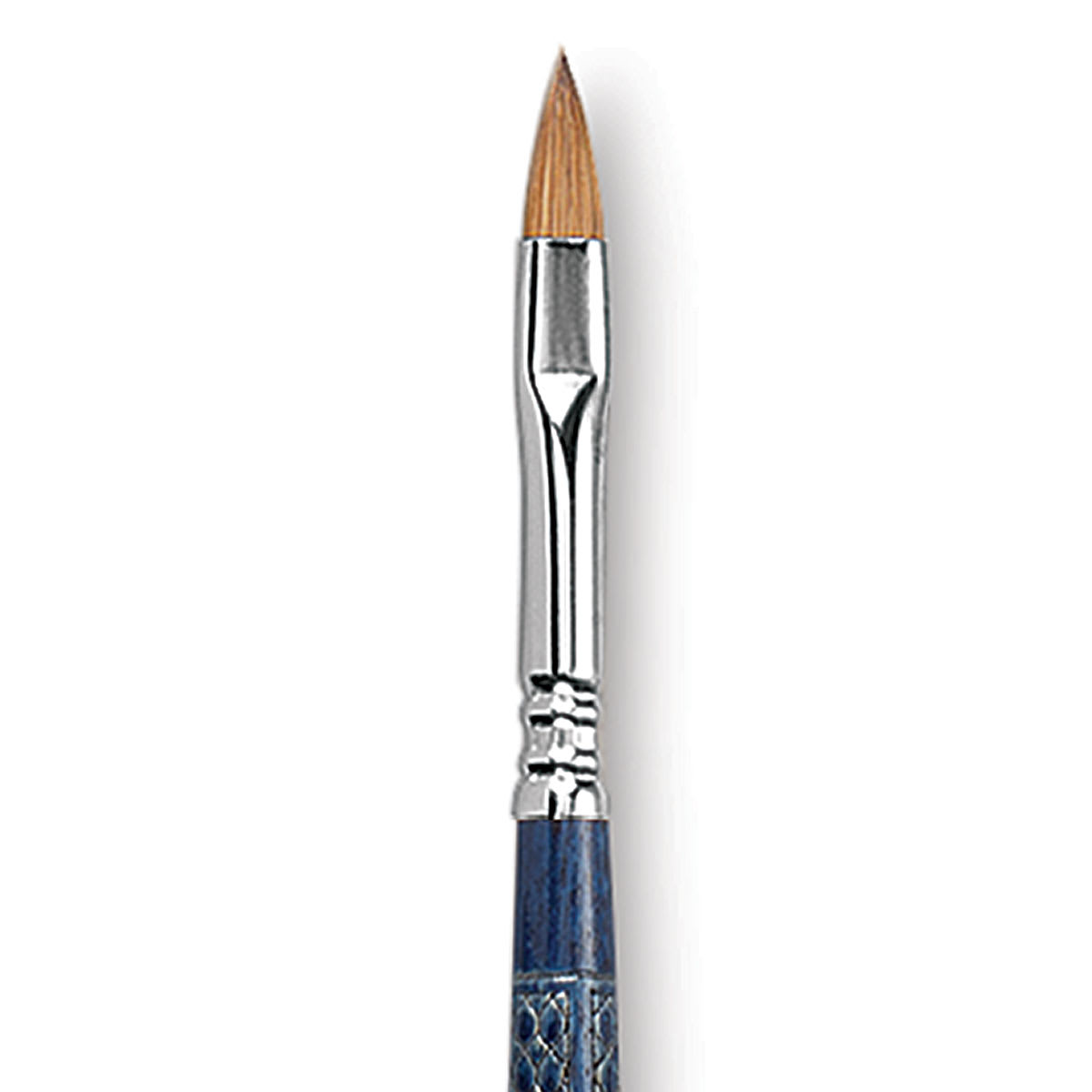 Escoda Optimo Kolinsky Sable Brush - Filbert, Long Handle, Size 8 close up
