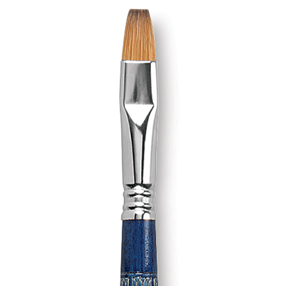 Escoda Optimo Kolinsky Sable Brush - Bright, Long Handle, Size 12 close up