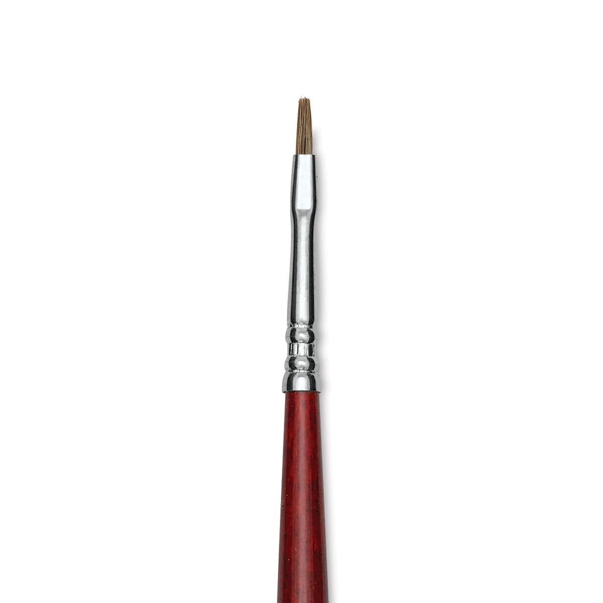 Escoda Bravo Light Ox Hair Brush - Bright, Long Handle, Size 1 close up