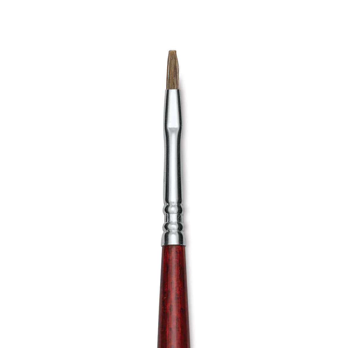 Escoda Bravo Light Ox Hair Brush - Bright, Long Handle, Size 2 close up