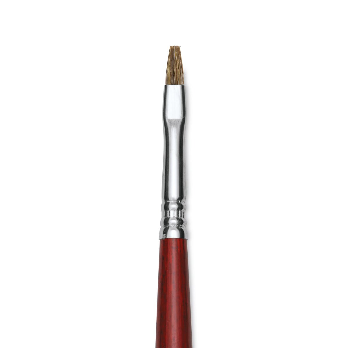 Escoda Bravo Light Ox Hair Brush - Bright, Long Handle, Size 4 close up