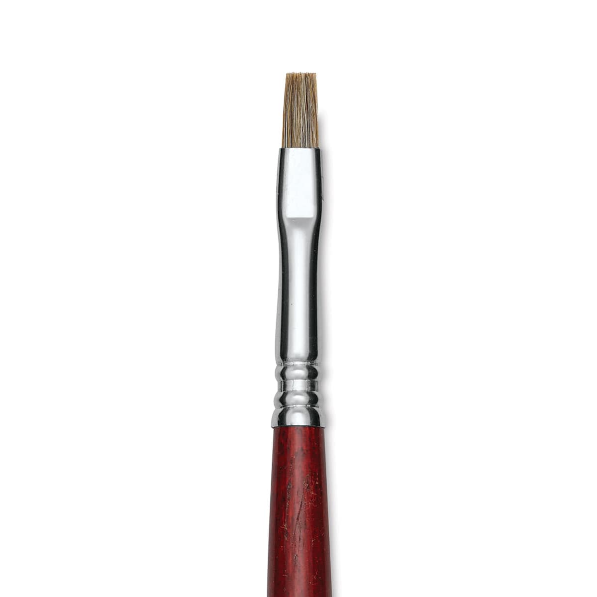 Escoda Bravo Light Ox Hair Brush - Bright, Long Handle, Size 6 close up
