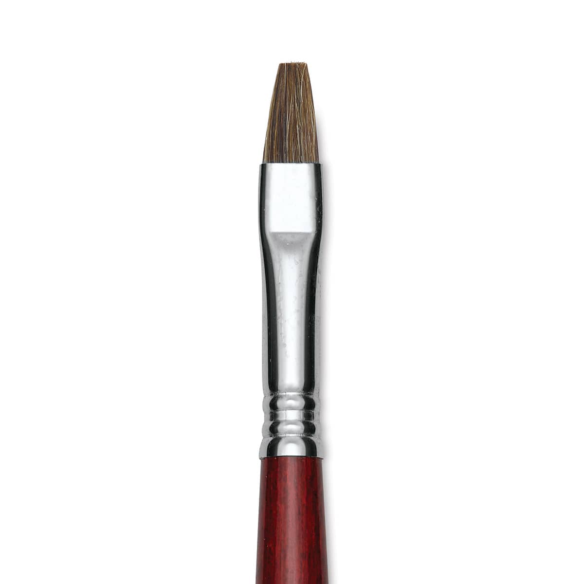 Escoda Bravo Light Ox Hair Brush - Bright, Long Handle, Size 10 close up
