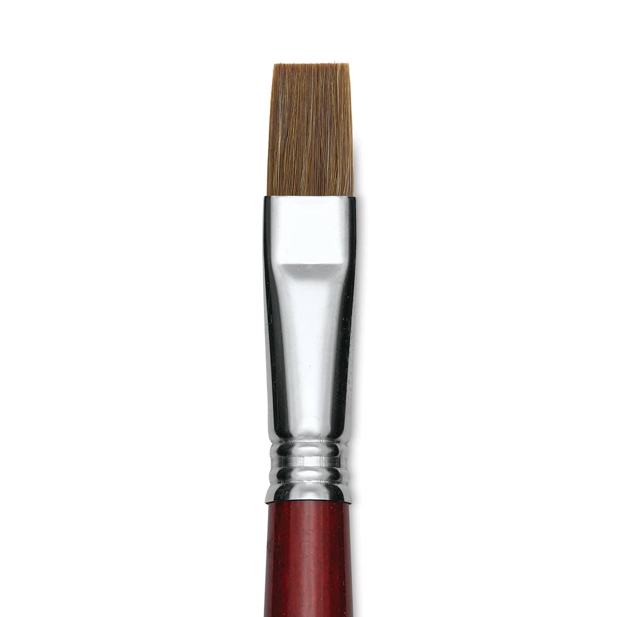 Escoda Bravo Light Ox Hair Brush - Bright, Long Handle, Size 16 close up