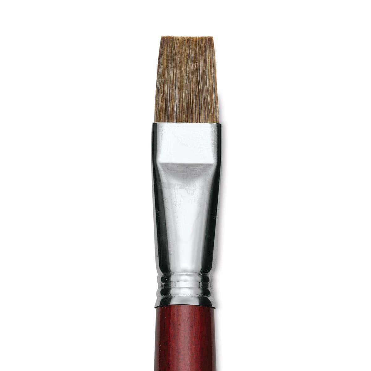 Escoda Bravo Light Ox Hair Brush - Bright, Long Handle, Size 20 close up
