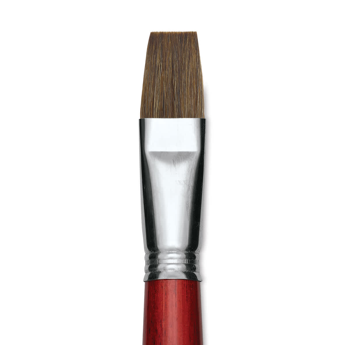 Escoda Bravo Light Ox Hair Brush - Bright, Long Handle, Size 22 close up
