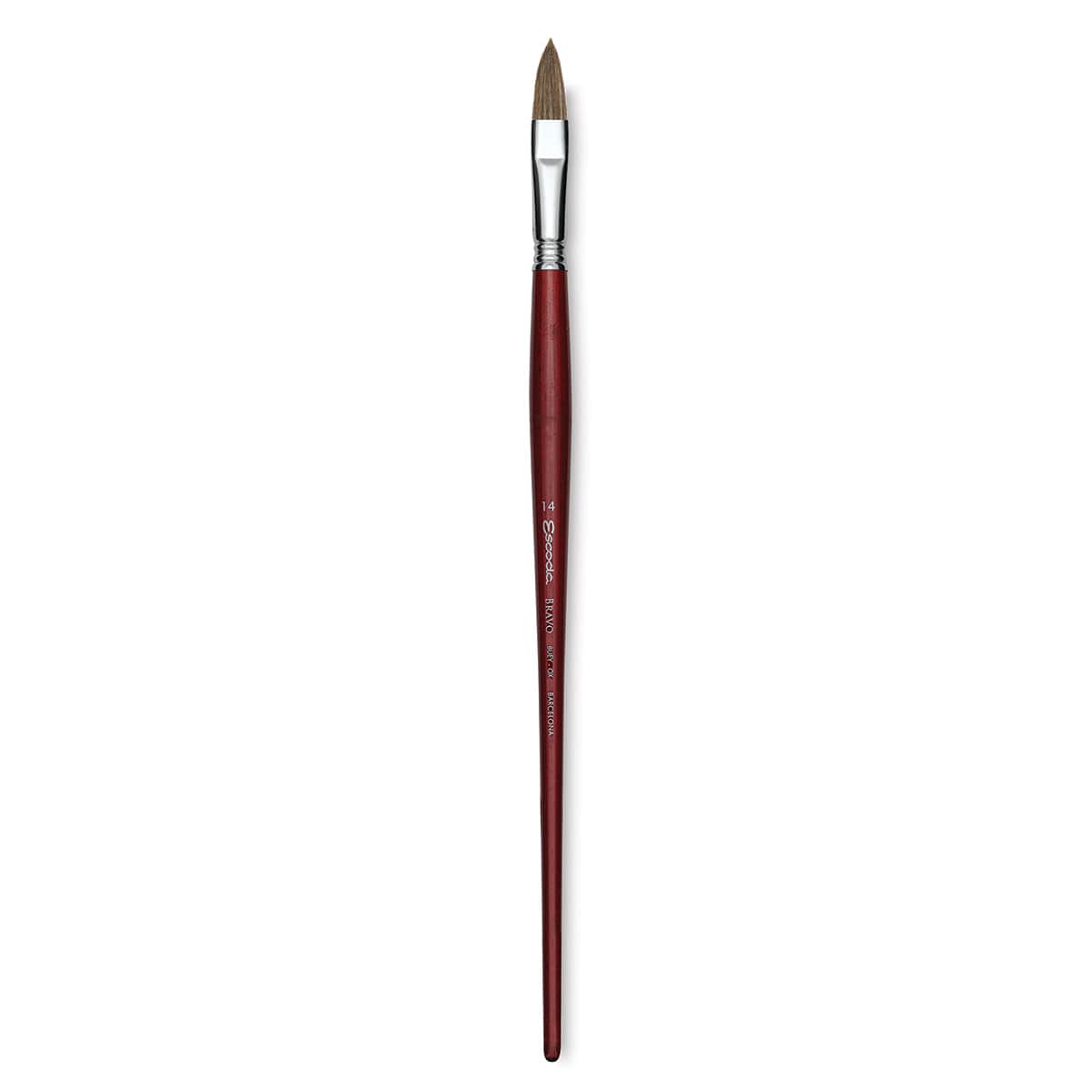 Escoda Bravo Light Ox Hair Brush - Long Filbert, Long Handle, Size 14