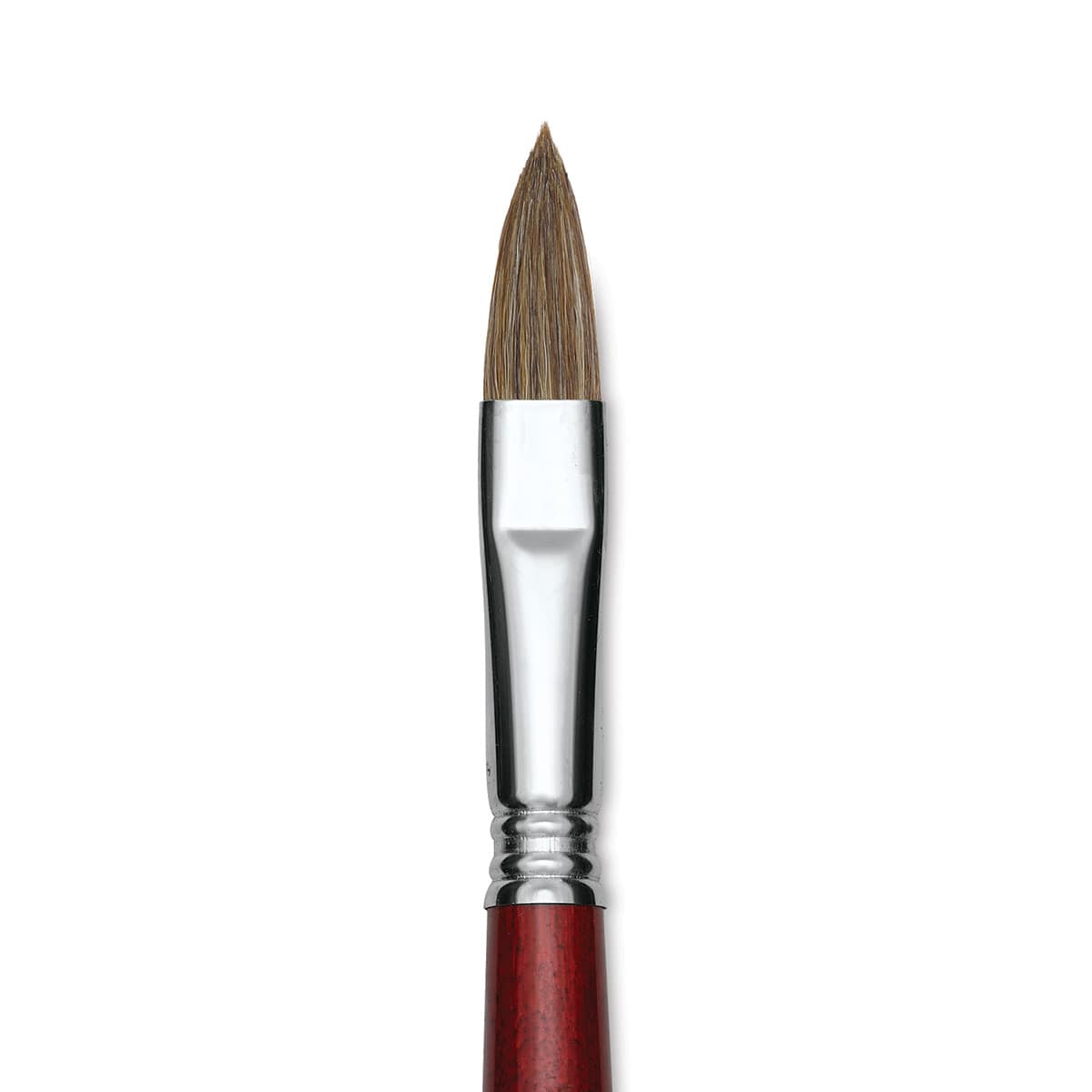 Escoda Bravo Light Ox Hair Brush - Long Filbert, Long Handle, Size 14 close up