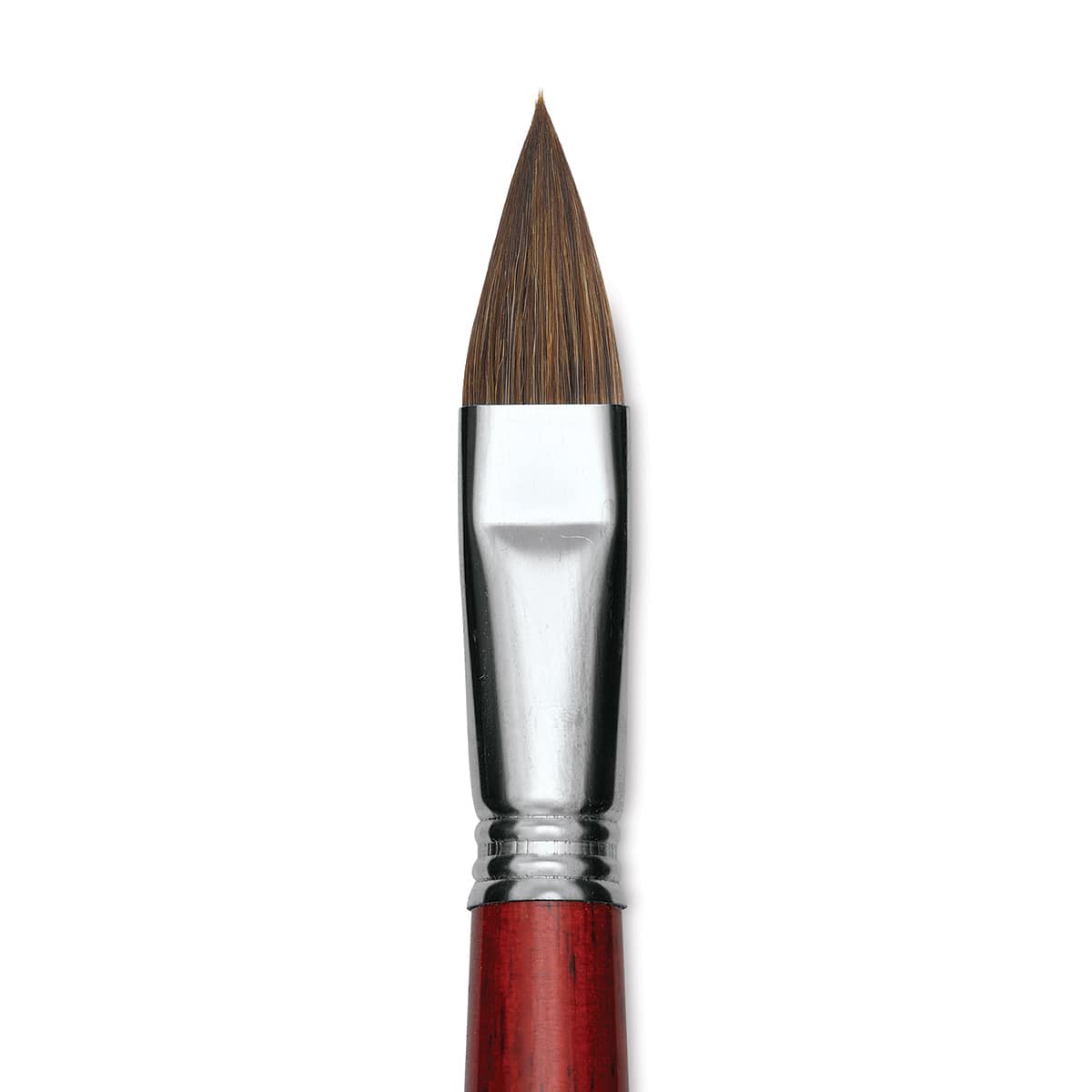 Escoda Bravo Light Ox Hair Brush - Long Filbert, Long Handle, Size 18 close up