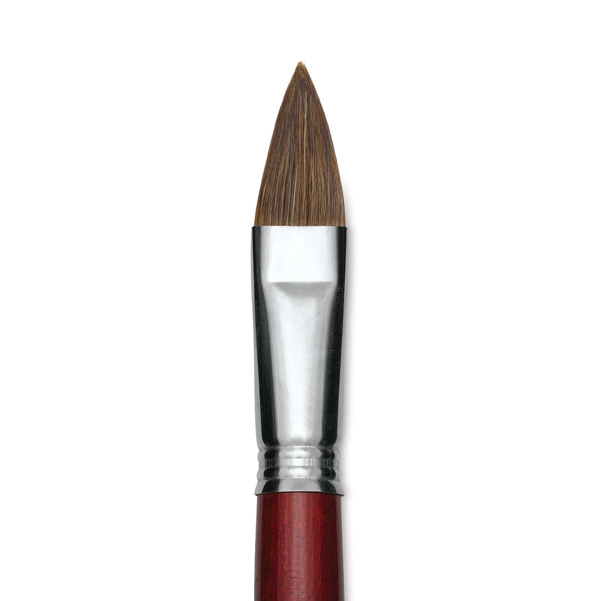 Escoda Bravo Light Ox Hair Brush - Long Filbert, Long Handle, Size 20 close up