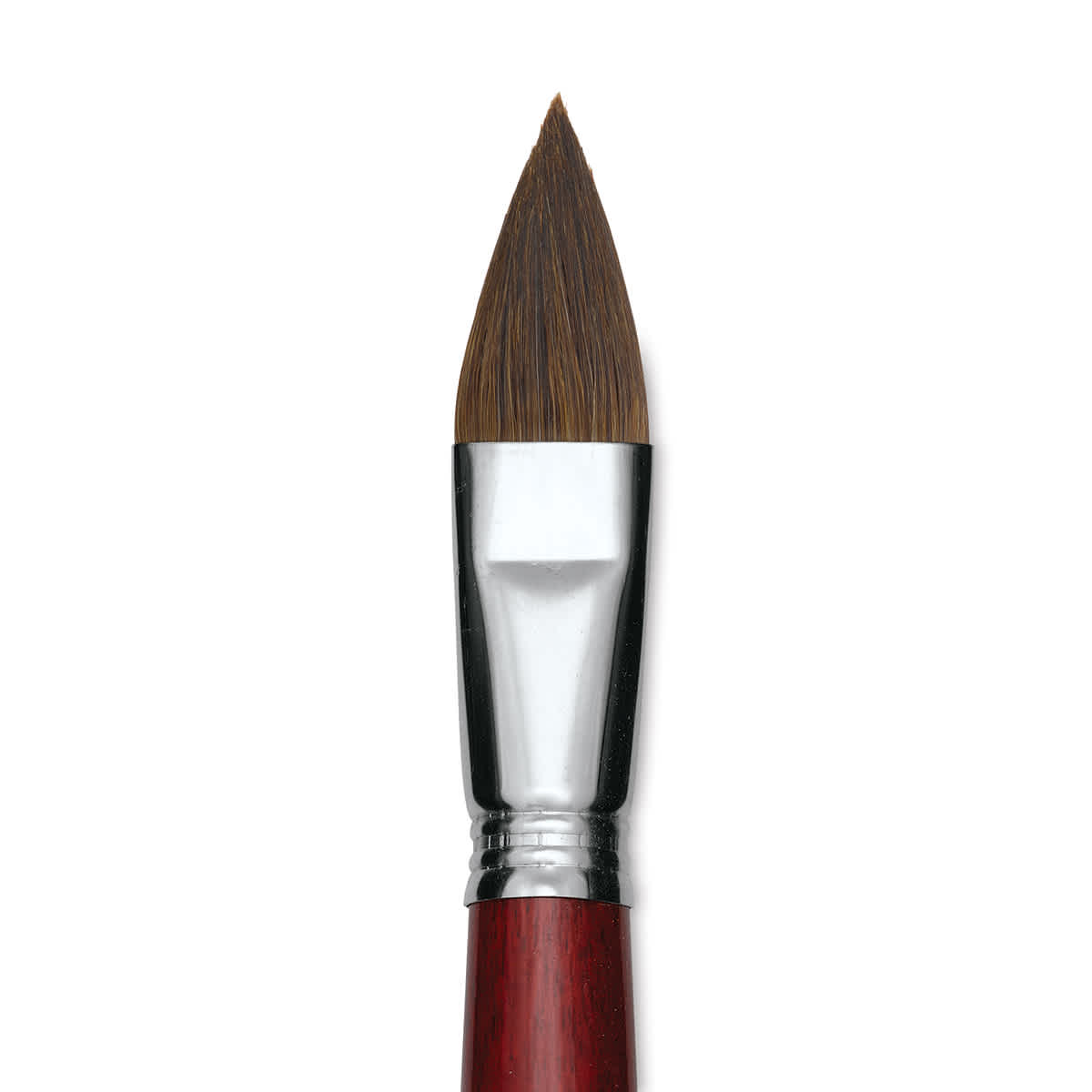 Escoda Bravo Light Ox Hair Brush - Long Filbert, Long Handle, Size 24 close up