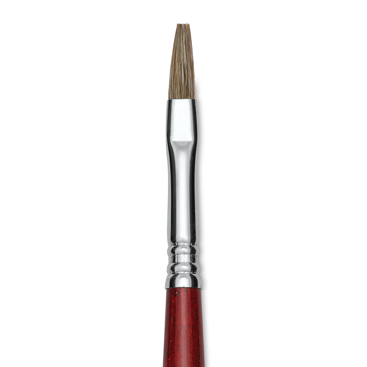 Escoda Bravo Light Ox Hair Brush - Flat, Long Handle, Size 6 close up
