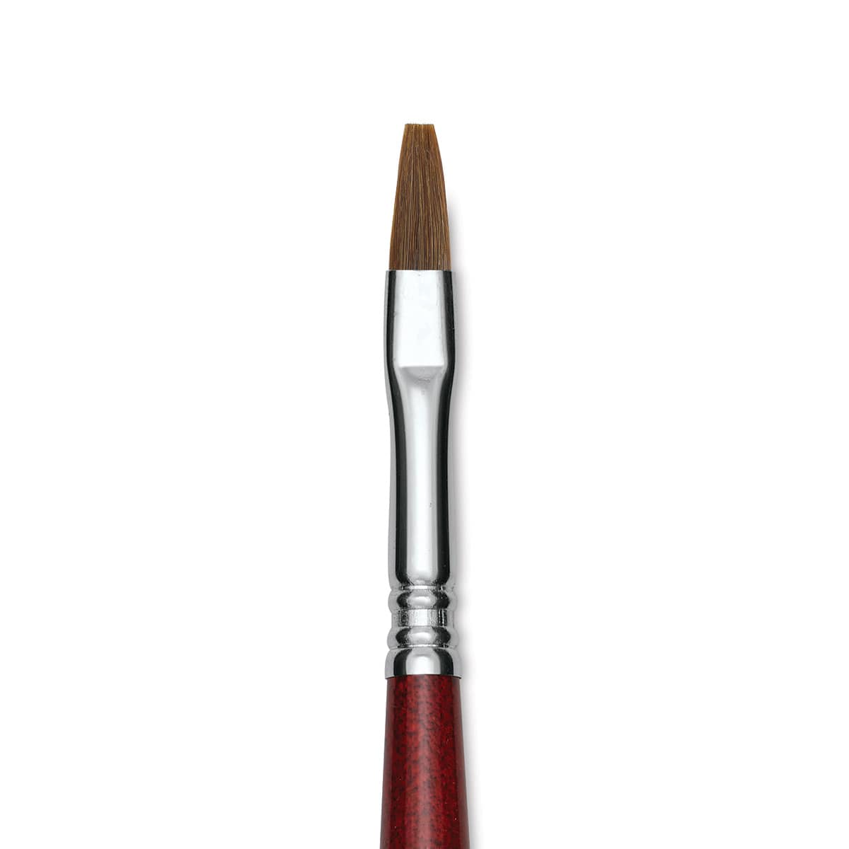 Escoda Bravo Light Ox Hair Brush - Flat, Long Handle, Size 8 close up