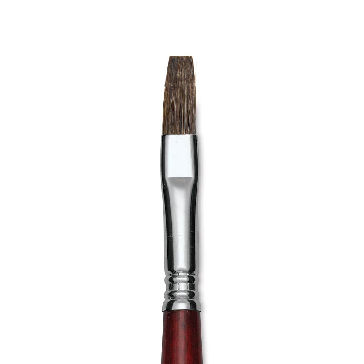 Escoda Bravo Light Ox Hair Brush - Flat, Long Handle, Size 10 close up