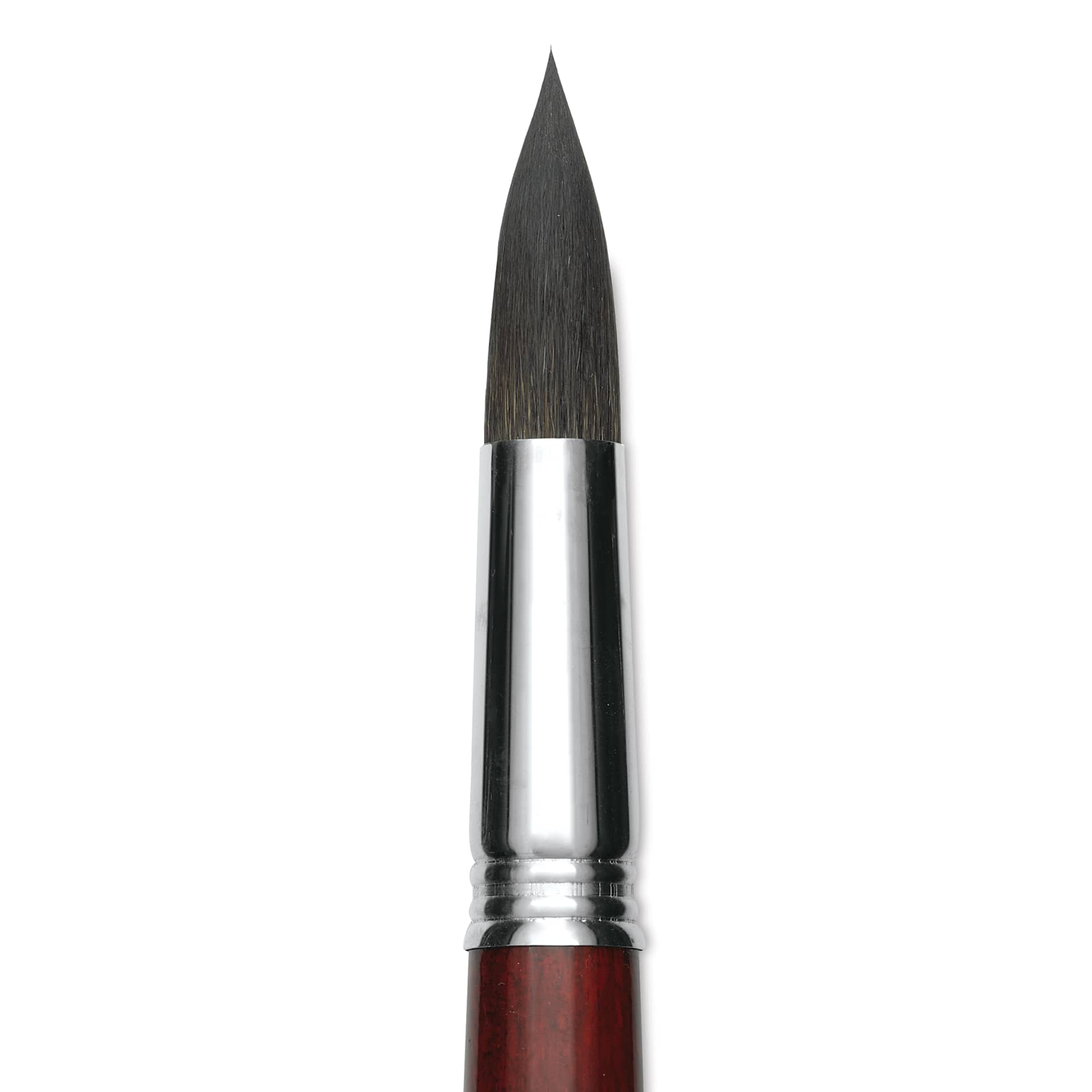 Escoda Aquario Squirrel Hair Brush - Round, Short Handle, Size 22, close-up
