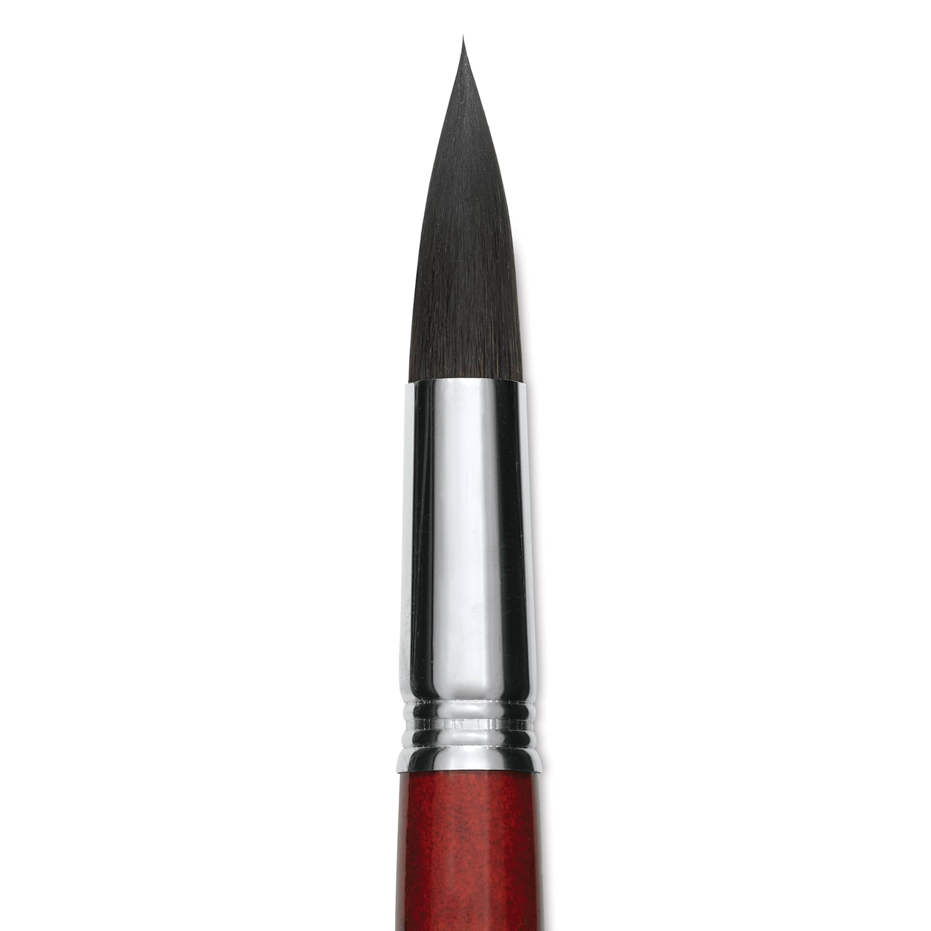 Escoda Aquario Squirrel Hair Brush - Round, Short Handle, Size 24, close-up