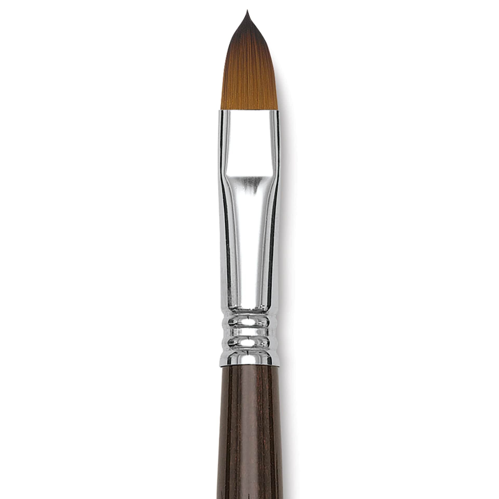 Escoda Prado Tame Synthetic Brush - Filbert, Short Handle, Size 12 (Close-up of brush)