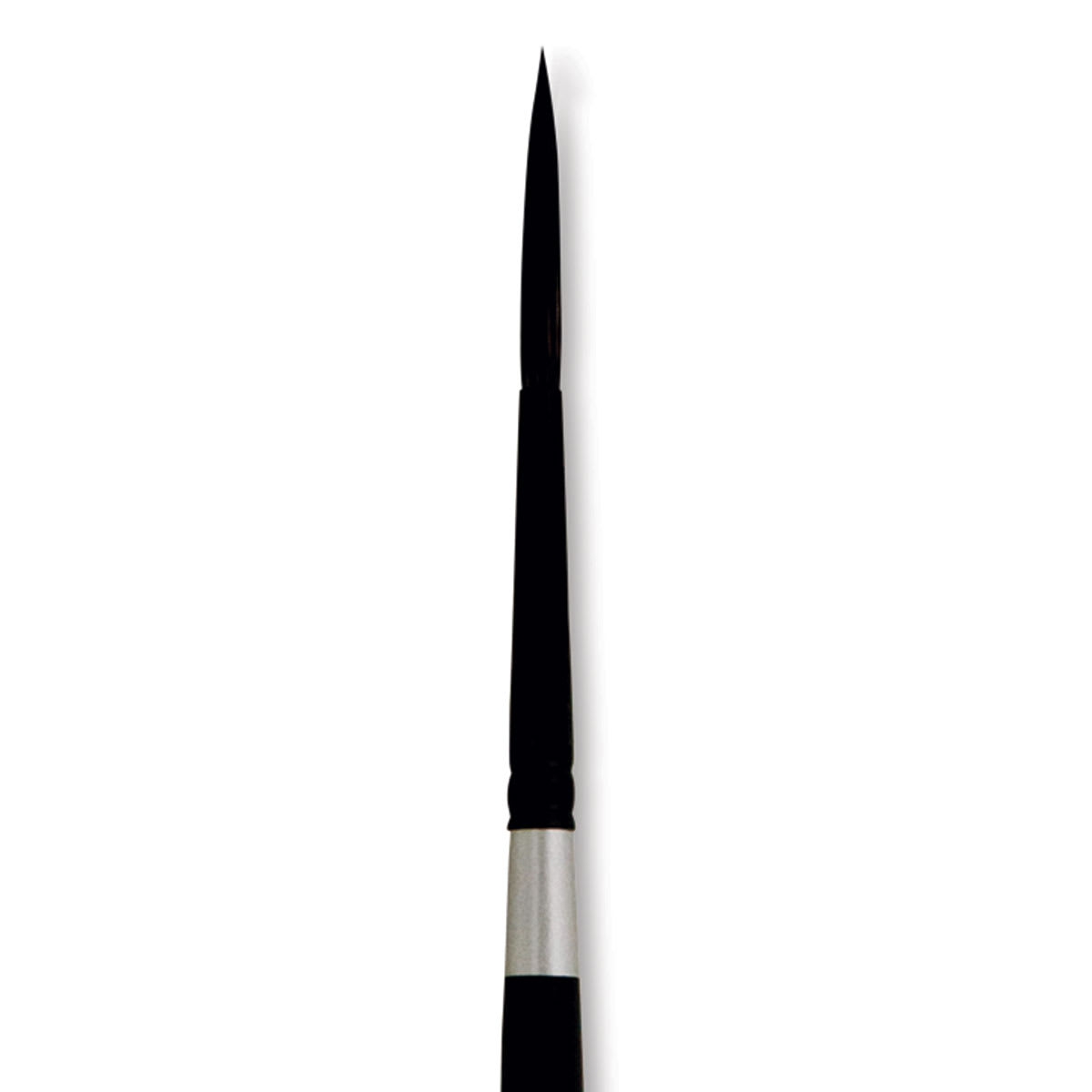 Silver Brush Black Velvet Brush - Script, Size 6 close up