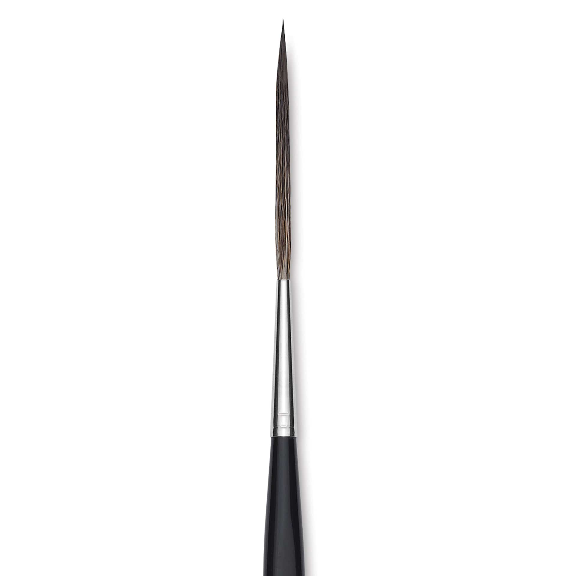 Da Vinci Casaneo Synthetic Squirrel Watercolor Brush - Short Stroke Scroll Liner, Size 8, Short Handle, Synthetic, close up Da Vinci Casaneo Synthetic Squirrel Watercolor Brush - Short Stroke Scroll Liner, Size 8, Short Handle, Synthetic, close up