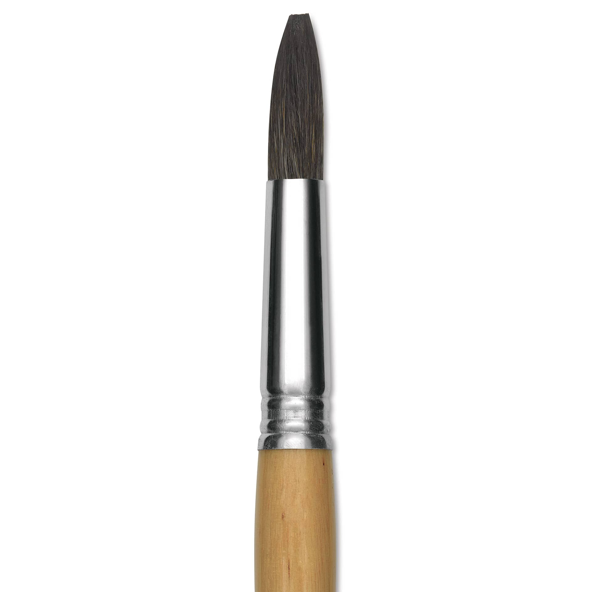 Escoda Squirrel Hair Ceramic Brush - Square Tip, Size 16 (Close-up of brush)